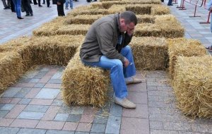 Украинский «Нафтогаз» решил перевести свои ТЭЦ на солому и щепу