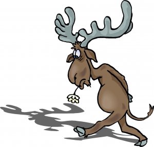 Депутат Рашкин пожаловался, что никто не продает ему лося для возмещения ущерба природе   (Как заявил депутат, региональные власти "не хотят продать лося человеку с фамилией Рашкин")