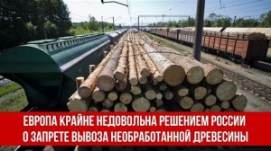 Запрет на вывоз российской древесины поставил на грань банкротства европейские деревообрабатывающие предприятия
