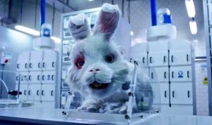 "Мы не подопытные кролики": журналист-расследователь об опытах США над солдатами