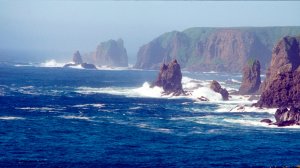 В Минобороны сообщили об обнаружении подлодки США в районе военно-морских учений ТОФ на Курилах