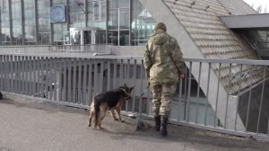 У входа на привокзальный рынок в Донецке подорвался диверсант