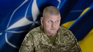 Главком ВСУ приказал армии наносить «максимальные потери захватчикам»