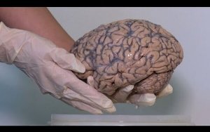 Письма издалека