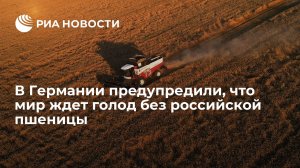Deutsche Wirtschafts Nachrichten: мир ждет голод без российской пшеницы