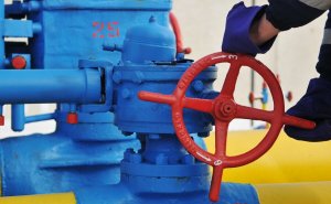 "Сущий бред": эксперт о идеях Европы снизить зависимость от российского газа