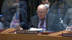 Выступление и ответное слово Постоянного представителя В.А.Небензи на заседании СБ ООН по гуманитарной ситуации на Украине