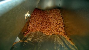 DT: прекращение поставок гранулированной древесины из России усугубляет британский топливный кризис