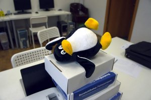 Самый популярный дистрибутив Linux: прекращена поддержка бизнес-пользователей в России, включая платных