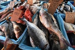 Россиян предупредили о росте цен на рыбу