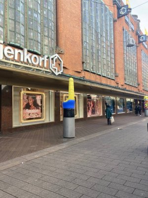 Понаехавшие в Гаагу бешенцы из страны 404 ринулись культурно обогащать Европу