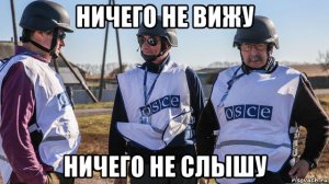 Глава ЛНР запретил деятельность мониторинга ОБСЕ на территории республики