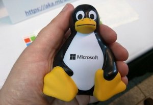 Оставшийся без Windows МГТУ Баумана совершил  переход на российский вариант  Linux