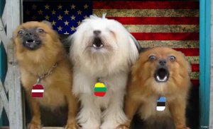 В Латвии готовят инфраструктуру для строительства АЭС