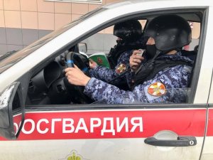 В Татарстане наряд ОВО Росгвардии задержал подозреваемого в краже электроинструментов с места работы