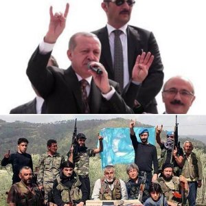 ⚡️3000 «серых волков» переброшены на Украину через Польшу⚡️