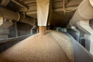 Зерно в обмен на оружие: Минобороны РФ обвинило Украину в «продуктовом ленд-лизе»