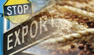 Российский запрет на экспорт зерна: кто против и почему?  (Евразийская интеграция)