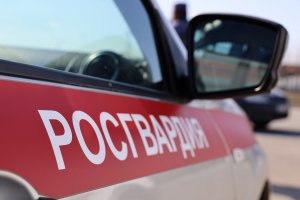 В Татарстане сотрудники ОВО Росгвардии задержали нетрезвого мужчину, подозреваемого в угрозе убийством