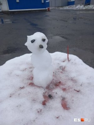 Екатеринбург накрыл майский снегопад