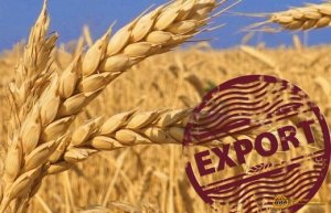 [«Голод на экспорт»] Индия запретила экспорт пшеницы в целях контроля за ростом внутренних цен. Решение вступает в силу немедленно