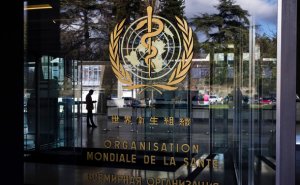 ВОЗ проведет экстренное совещание из-за вспышки обезьяньей оспы