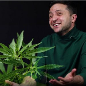 Сражаться с армией России мог решиться только наркоман?     (Украинского президента подозревают в наркотической зависимости)