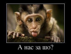 [На хитрую ж*пу] Случайный удар по Флориде - и США мгновенно прервёт поддержку Киева