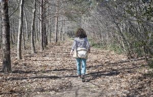 Власти Польши предлагают гражданам собирать хворост в лесах в ответ на рост цен энергии