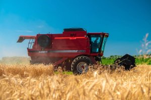 Отделяем зерна от плевел. Доля России на мировом рынке зерна и квоты на вывоз в 2022 году