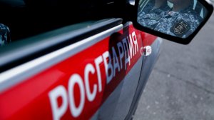 В Казани сотрудники УВО Росгвардии задержали объявленного в федеральный розыск гражданина