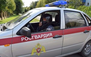 В Казани росгвардейцы задержали пьяного водителя грузовика, разбившего шесть припаркованных автомашин