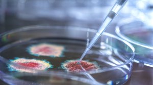 Глава комиссии Lancet Сакс признал, что коронавирус создали в лаборатории