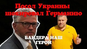 Посольство Израиля в Берлине резко отреагировало на заявления посла Украины