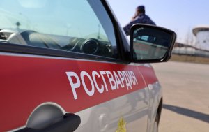 В Казани сотрудники Росгвардии задержали подозреваемого в краже из салона грузового автомобиля
