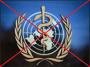 Всемирная организация здравоохранения «исполняет волю своих американских спонсоров»  (Миронов призвал приостановить членство России в ВОЗ )