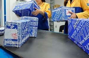 Президент РФ поручил наладить онлайн-торговлю товарами из малых городов через «Почту России»