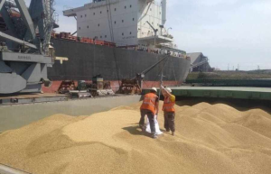 Сделка по украинскому зерну – классическая операция прикрытия