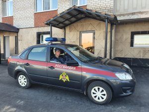 В Татарстане сотрудники Росгвардии задержали неоднократно судимых граждан, подозреваемых в краже с проникновением