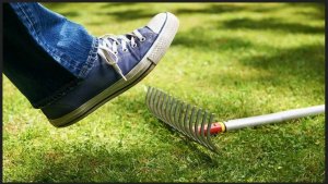 Daily Mail: почти две трети британских компаний пострадали из-за санкций против России