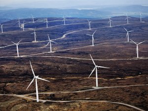 Не спешите подпевать хору   ("В Шотландии вырублено 14 млн деревьев, для того чтобы поставить ветрогенераторы")