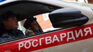 В г. Нижнекамске наряд ОВО Росгвардии задержал осужденного местного жителя, находившегося в федеральном розыске
