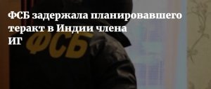 ФСБ задержала члена ИГ, готовившего теракт в Индии