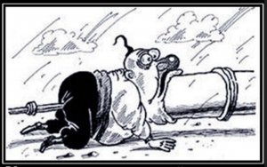 В Киеве собрались воровать российский газ и продавать его в Европу