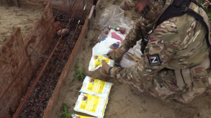 В Калининграде предотвратили теракты на объектах флота и в аэропорту,  задержан планировавший теракт сторонник "Азова"