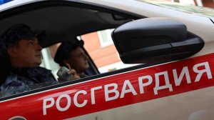 В Казани сотрудники Росгвардии совместно с полицейскими задержали группу молодых людей, подозреваемых в грабеже телефона