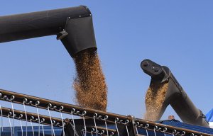 Путин допустил возможность ограничения вывоза украинского зерна в ЕС