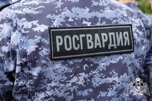 За неделю жители Ивановской области добровольно сдали 2 единицы оружия