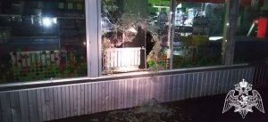 В Шуе росгвардейцы задержали похитителей, проникших ночью в магазин