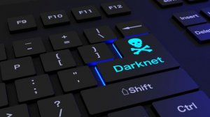 Сверхсекретные документы НАТО опубликовали в даркнете